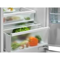 Холодильник Electrolux ENT6ME19S, изображение 6