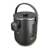 Термопот BQ TP314 черный