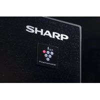 Холодильник Sharp SJGX98PBK черный, изображение 3