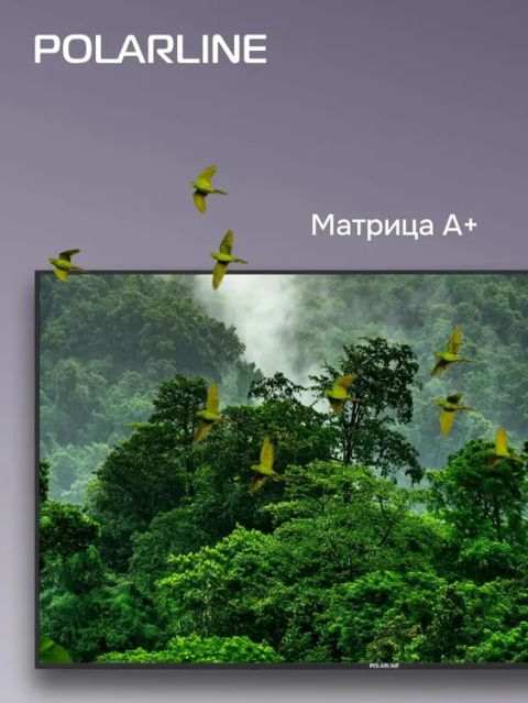 Телевизор Polarline 65PU51TC-SM, изображение 4