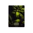 Весы кухонные HomeStar HS-3015C (110058)